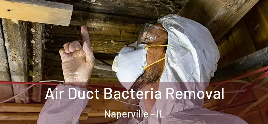 Air Duct Bacteria Removal Naperville - IL