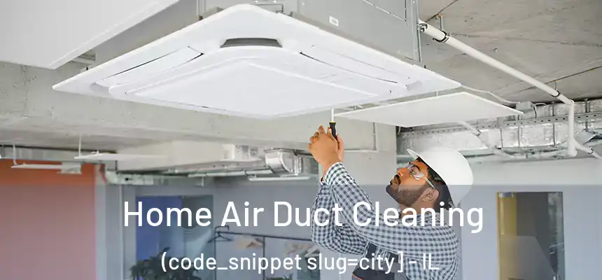  Home Air Duct Cleaning (code_snippet slug=city] - IL