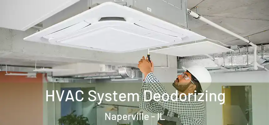  HVAC System Deodorizing Naperville - IL