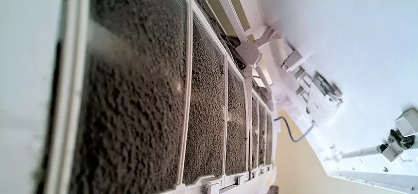 Preventive Air Duct Bacteria Removal in Naperville