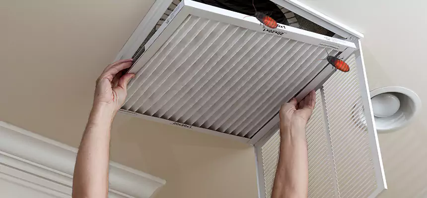 Preventive Cockroach-Proofing for Ducts in Naperville