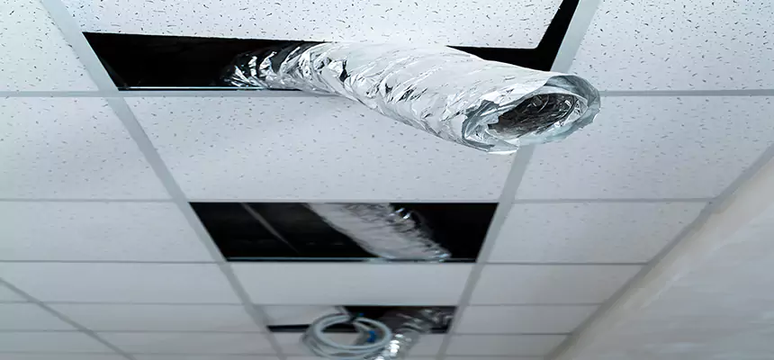 Our Air Duct Pet Hair Removal Services in Naperville, IL