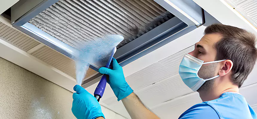 Proactive Dryer Vent & Auxiliary Duct Pollen Cleanup in Naperville, IL