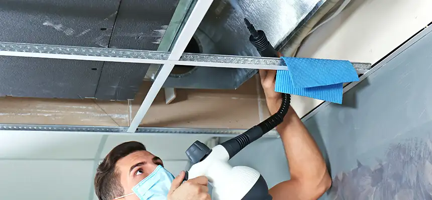 Our Air Duct Rodent Removal Services in Naperville, IL