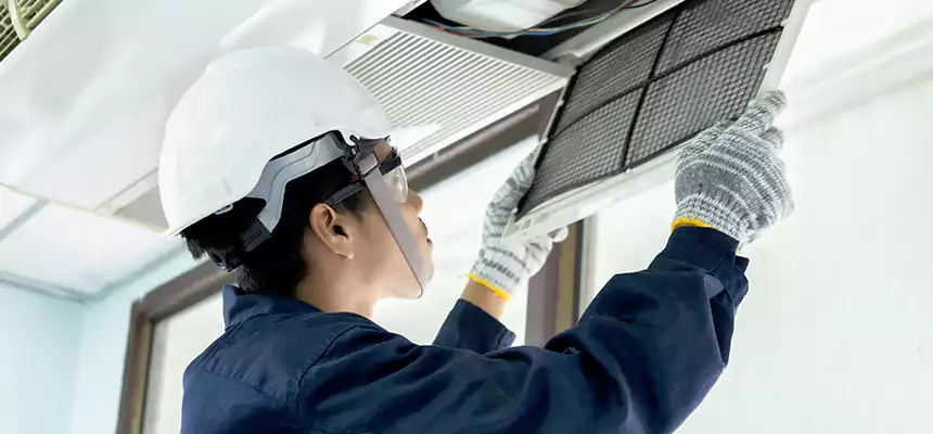 Our Mold & Mildew Removal from Air Ducts Services in Naperville, IL