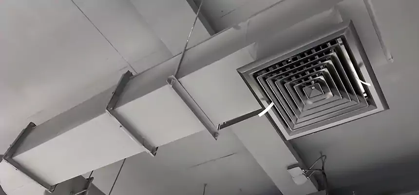 Our Pest Removal From Ducts Services in Naperville, IL