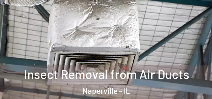 Insect Removal from Air Ducts Naperville - IL