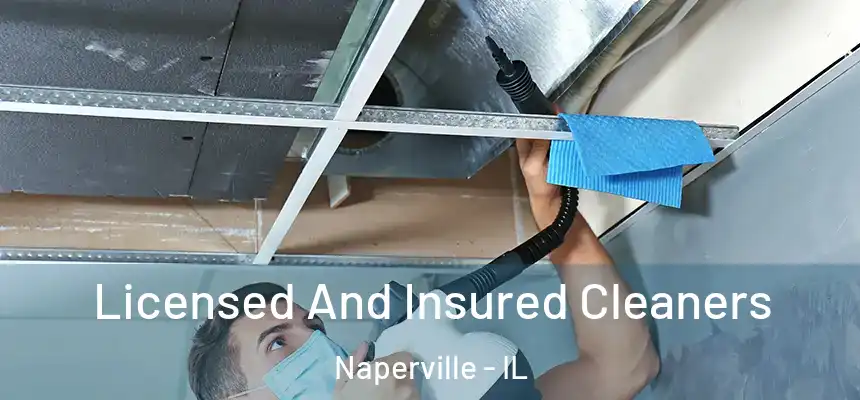 Licensed And Insured Cleaners Naperville - IL