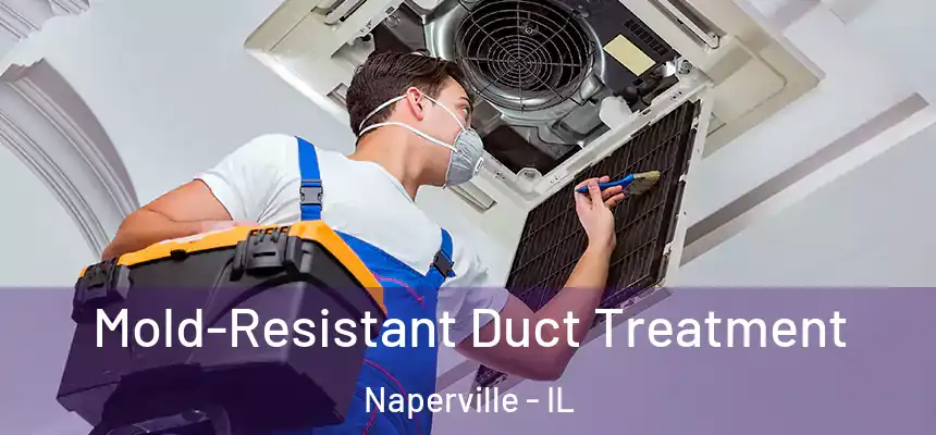  Mold-Resistant Duct Treatment Naperville - IL