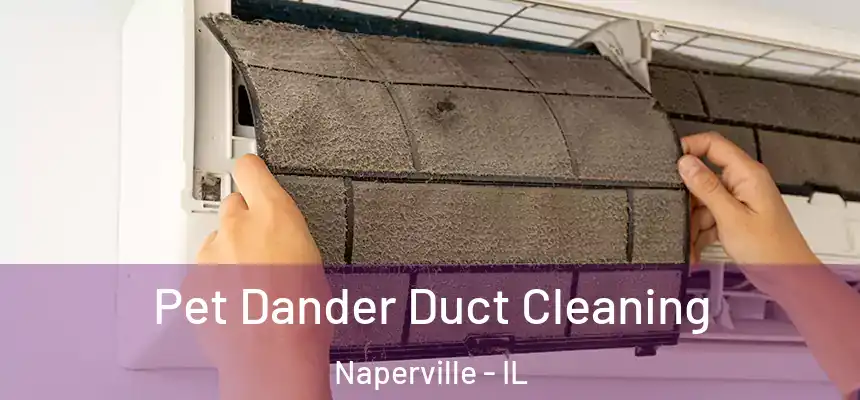 Pet Dander Duct Cleaning Naperville - IL
