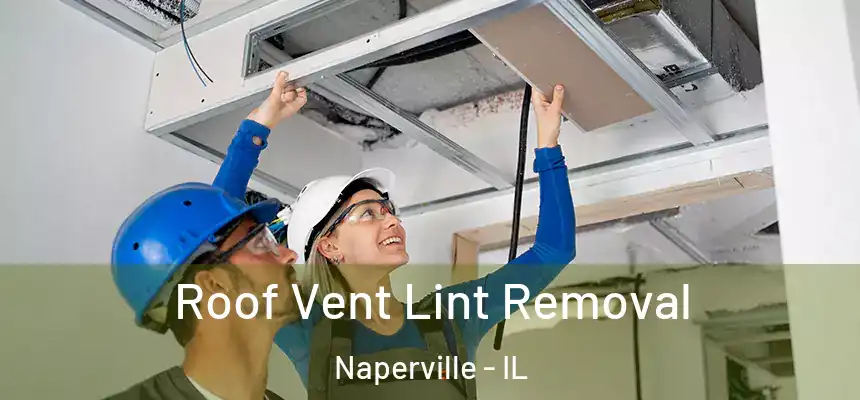  Roof Vent Lint Removal Naperville - IL