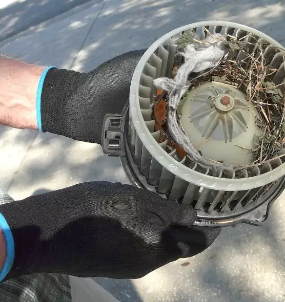 About Air Duct Mice Removal in Naperville, IL