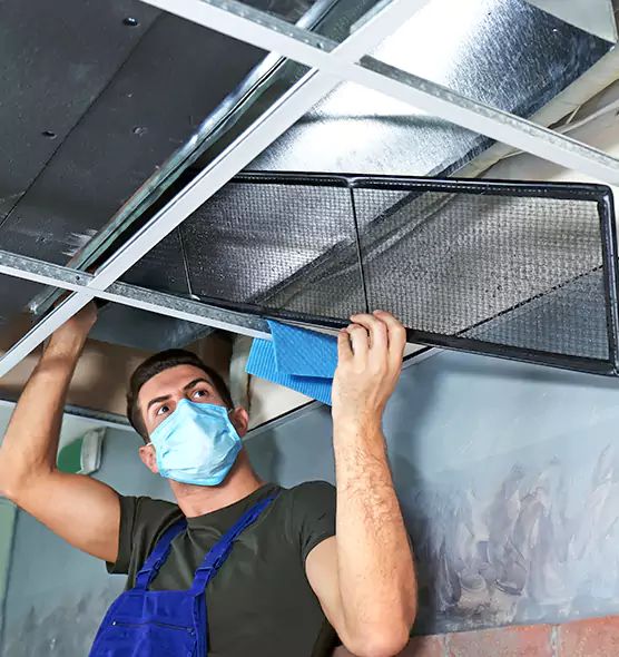 Professional Air Duct Pollen Cleaning in Naperville, IL