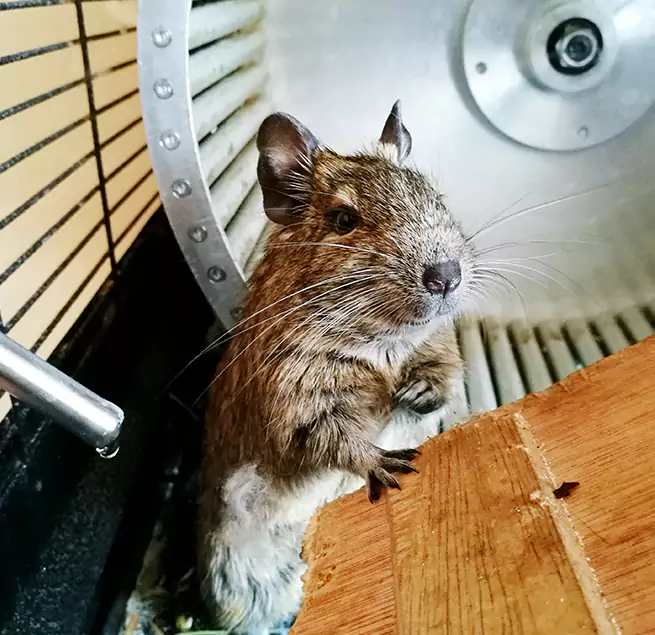 Why Homeowners & Businesses Trust Us Naperville, IL?