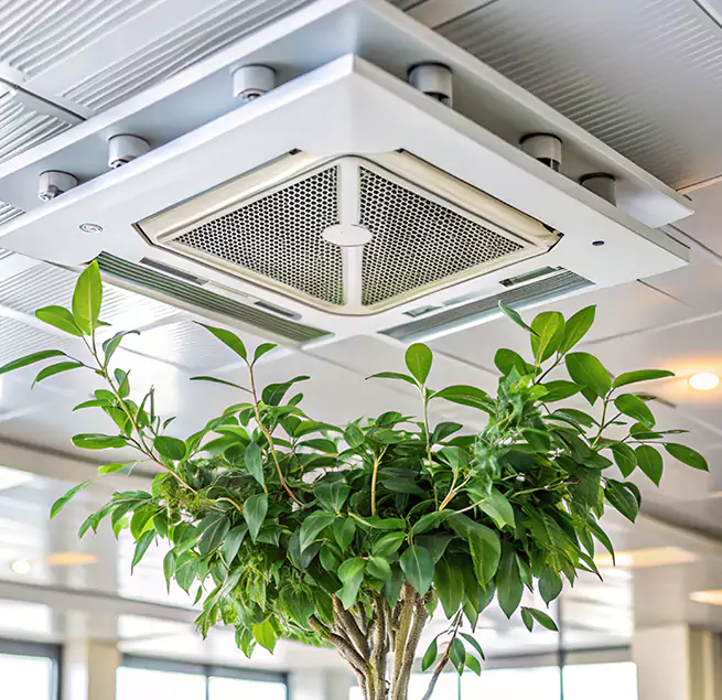 Why Homeowners & Businesses Trust Us in Naperville, IL?