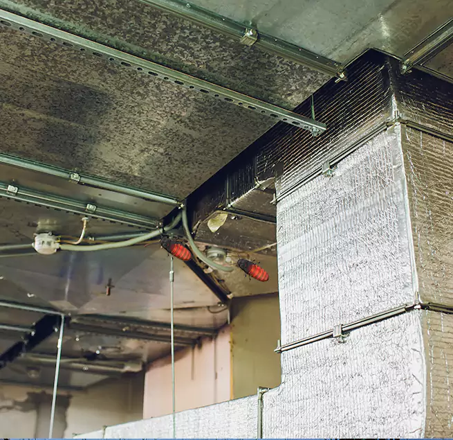 Why Homeowners & Businesses Trust Us Naperville, IL?