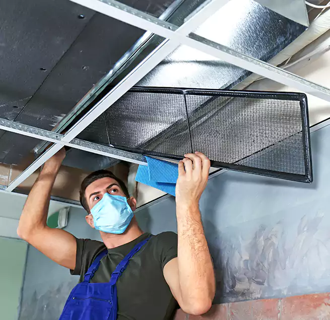 Why Homeowners Businesses Trust Us in Naperville, IL